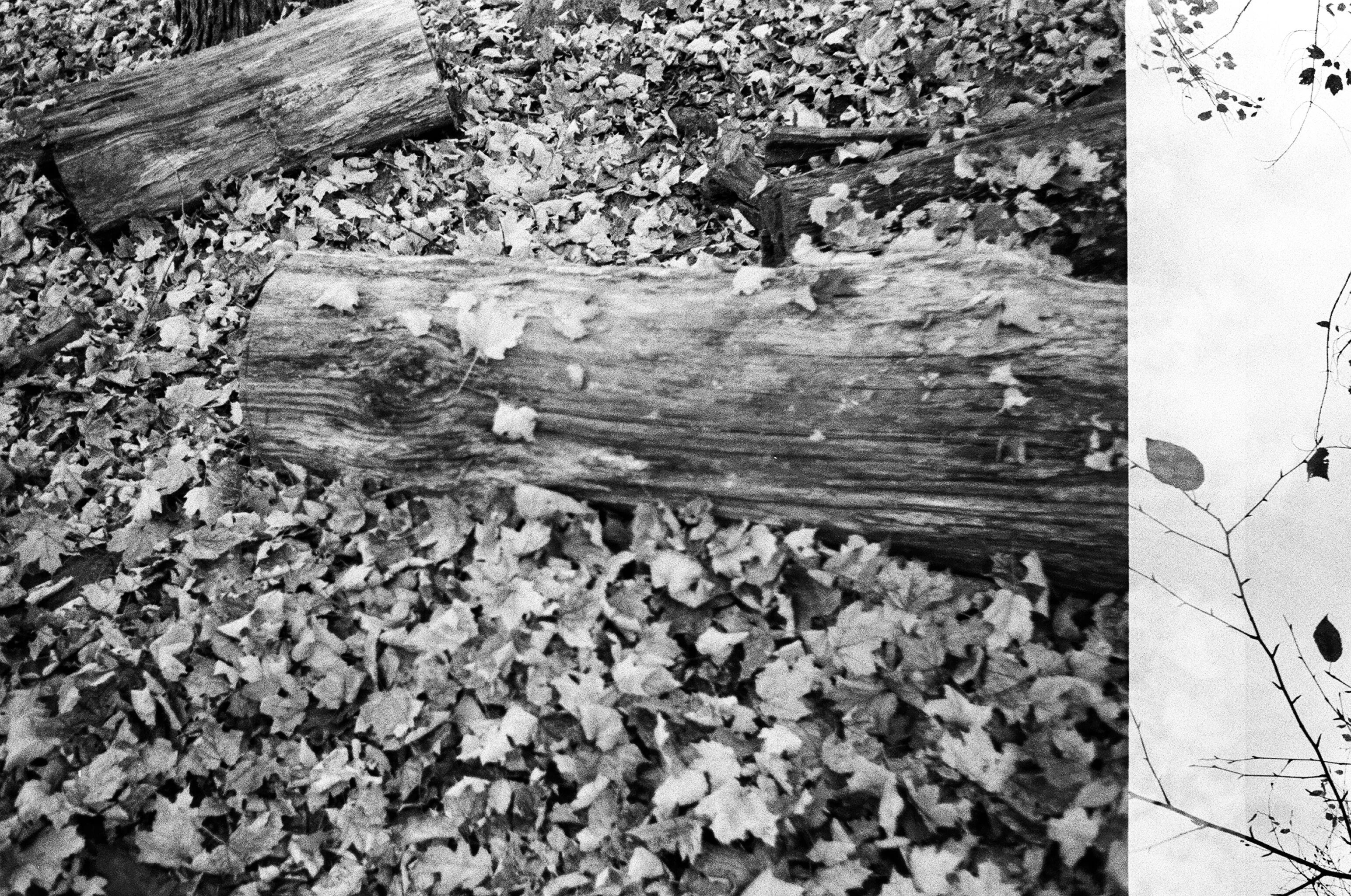 Bear Mountain State Park · 2019