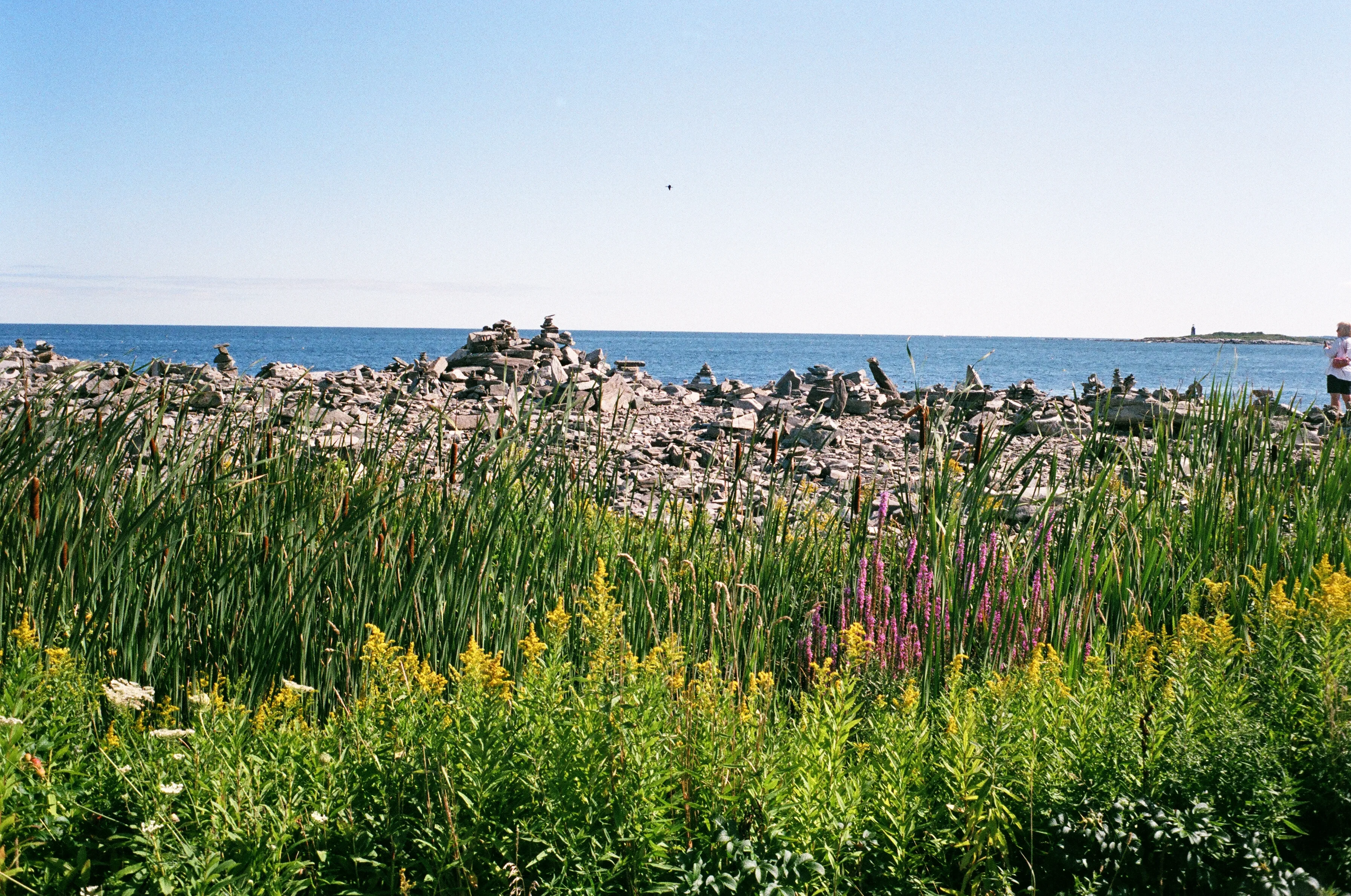 Peaks Island · Maine · 2019