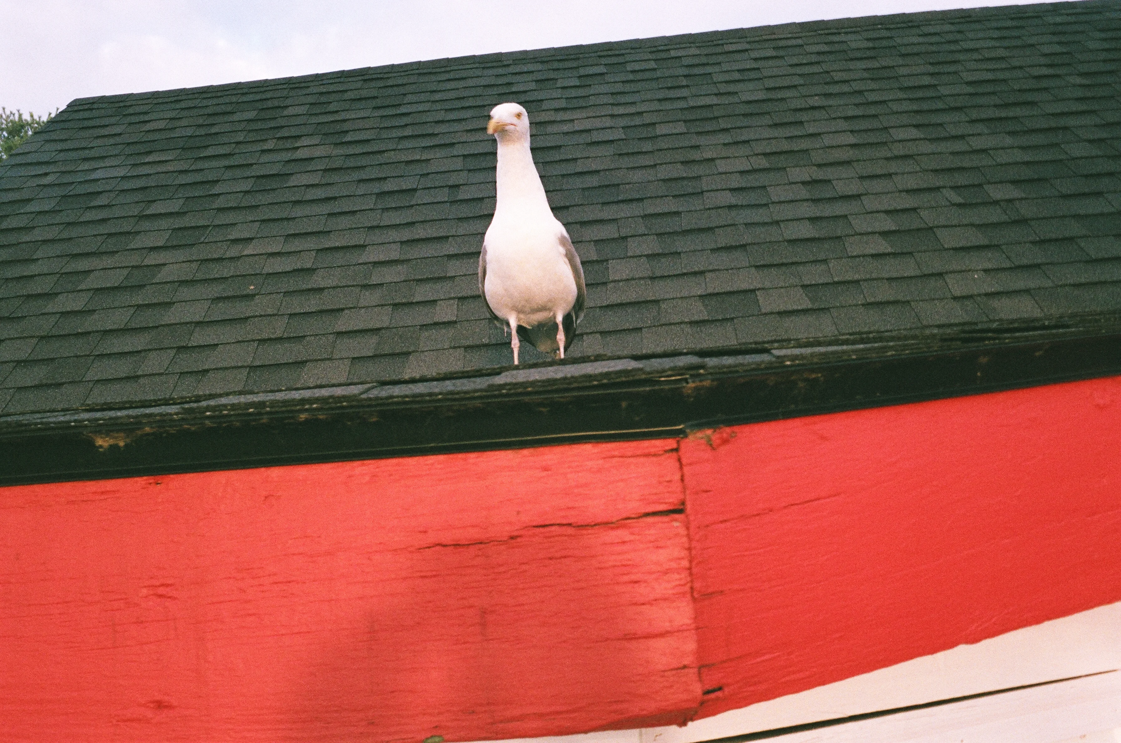 Portland · Maine · 2019