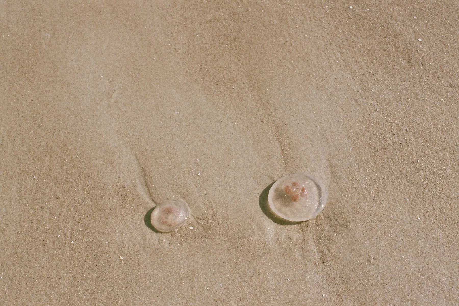 Ruegen Beach · 2020